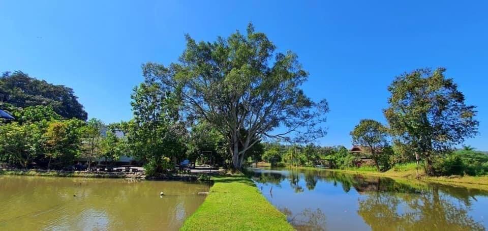 Homdoiintr Farmstay ฮ่อมดอยอินทร์ ฟาร์มสเตย์ Ban Huai Kaeo Dış mekan fotoğraf