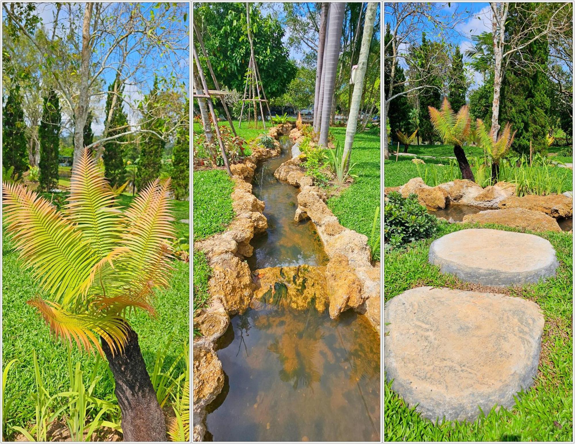 Homdoiintr Farmstay ฮ่อมดอยอินทร์ ฟาร์มสเตย์ Ban Huai Kaeo Dış mekan fotoğraf