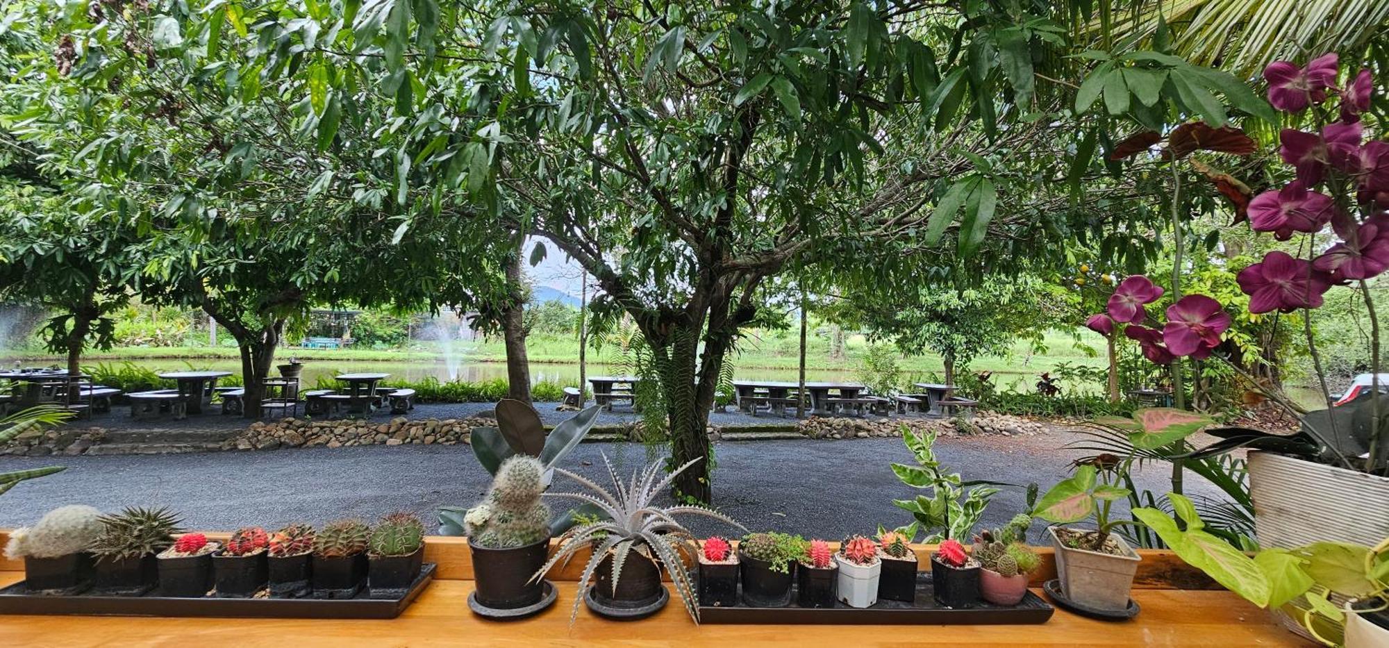 Homdoiintr Farmstay ฮ่อมดอยอินทร์ ฟาร์มสเตย์ Ban Huai Kaeo Dış mekan fotoğraf