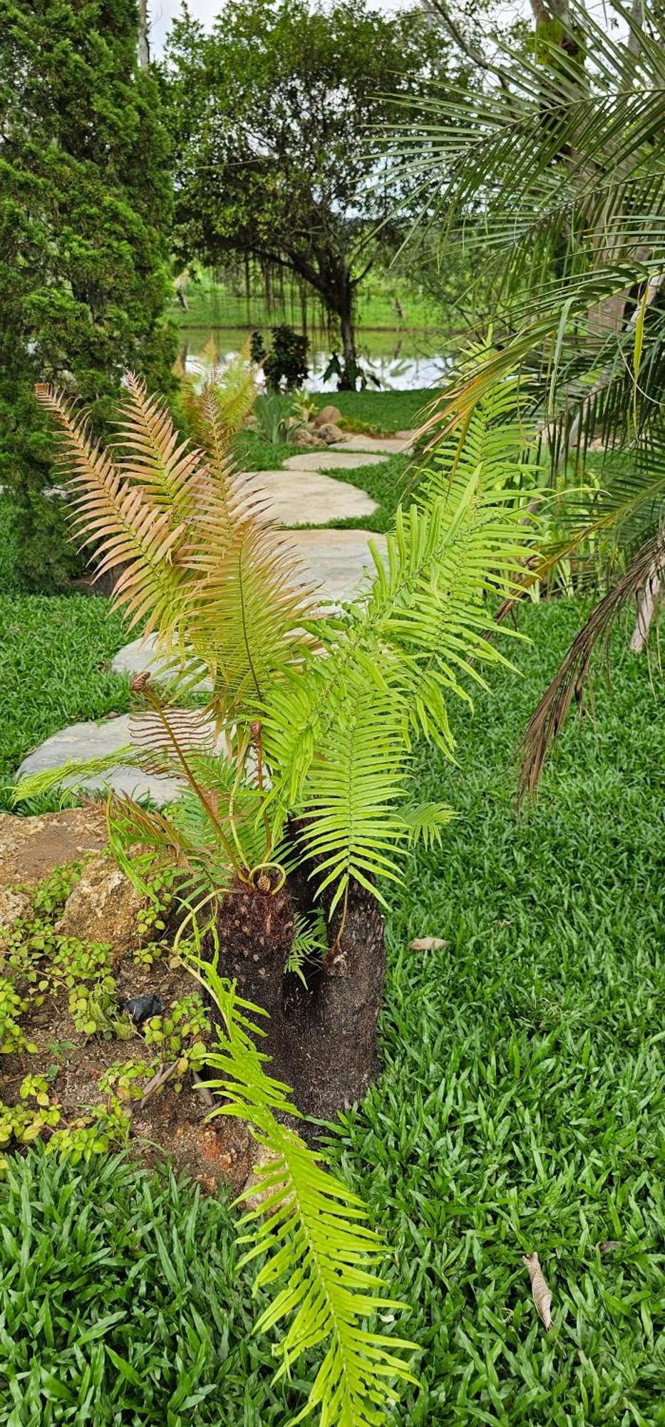 Homdoiintr Farmstay ฮ่อมดอยอินทร์ ฟาร์มสเตย์ Ban Huai Kaeo Dış mekan fotoğraf