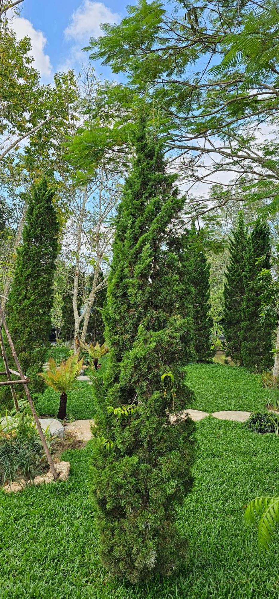 Homdoiintr Farmstay ฮ่อมดอยอินทร์ ฟาร์มสเตย์ Ban Huai Kaeo Dış mekan fotoğraf