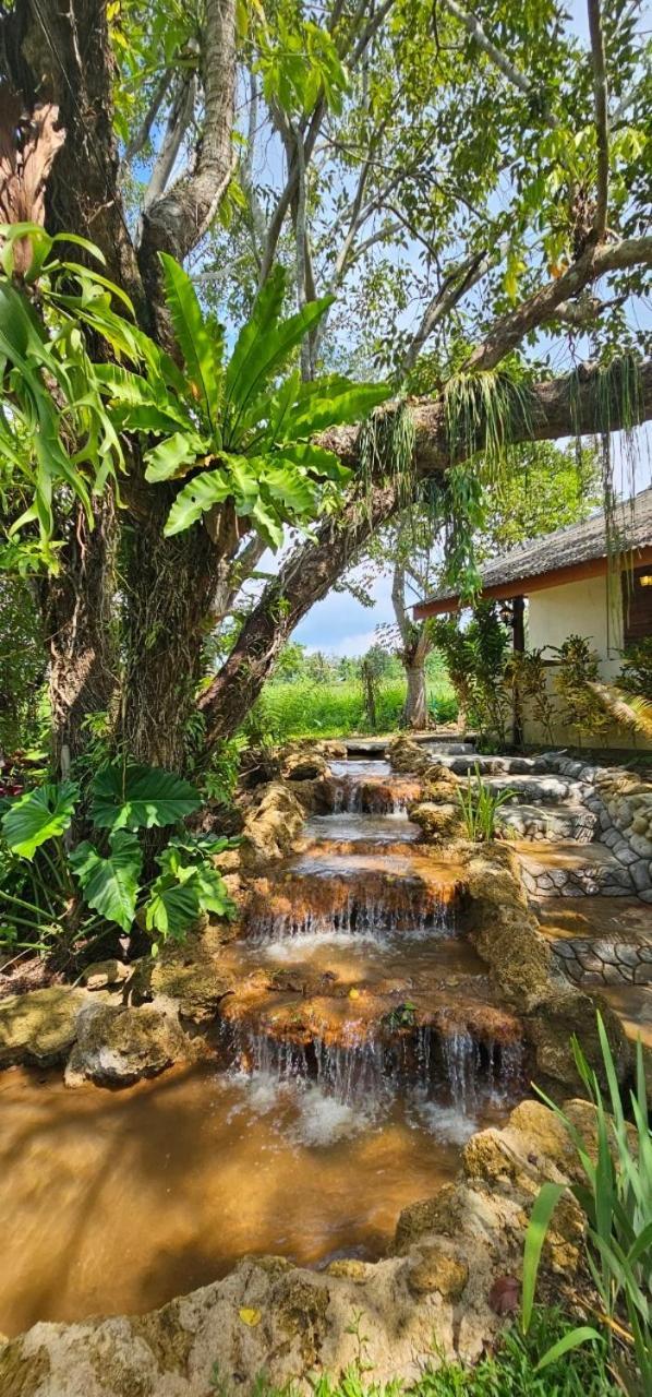 Homdoiintr Farmstay ฮ่อมดอยอินทร์ ฟาร์มสเตย์ Ban Huai Kaeo Dış mekan fotoğraf