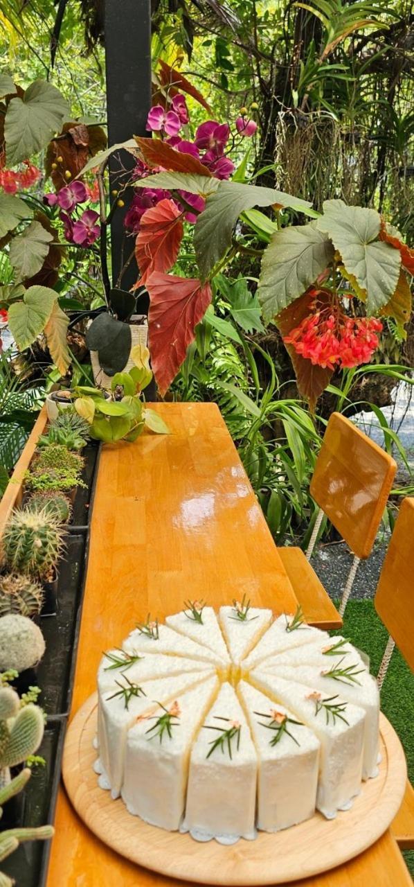 Homdoiintr Farmstay ฮ่อมดอยอินทร์ ฟาร์มสเตย์ Ban Huai Kaeo Dış mekan fotoğraf
