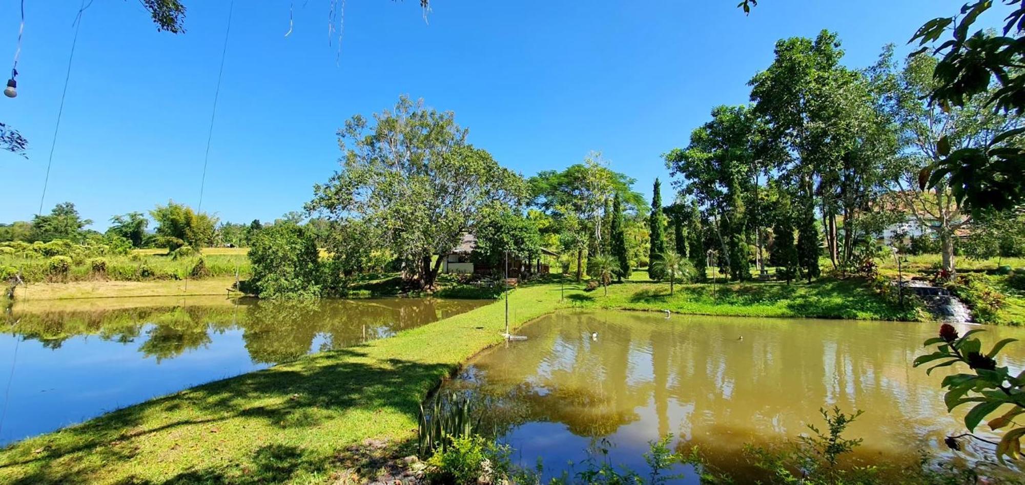 Homdoiintr Farmstay ฮ่อมดอยอินทร์ ฟาร์มสเตย์ Ban Huai Kaeo Dış mekan fotoğraf